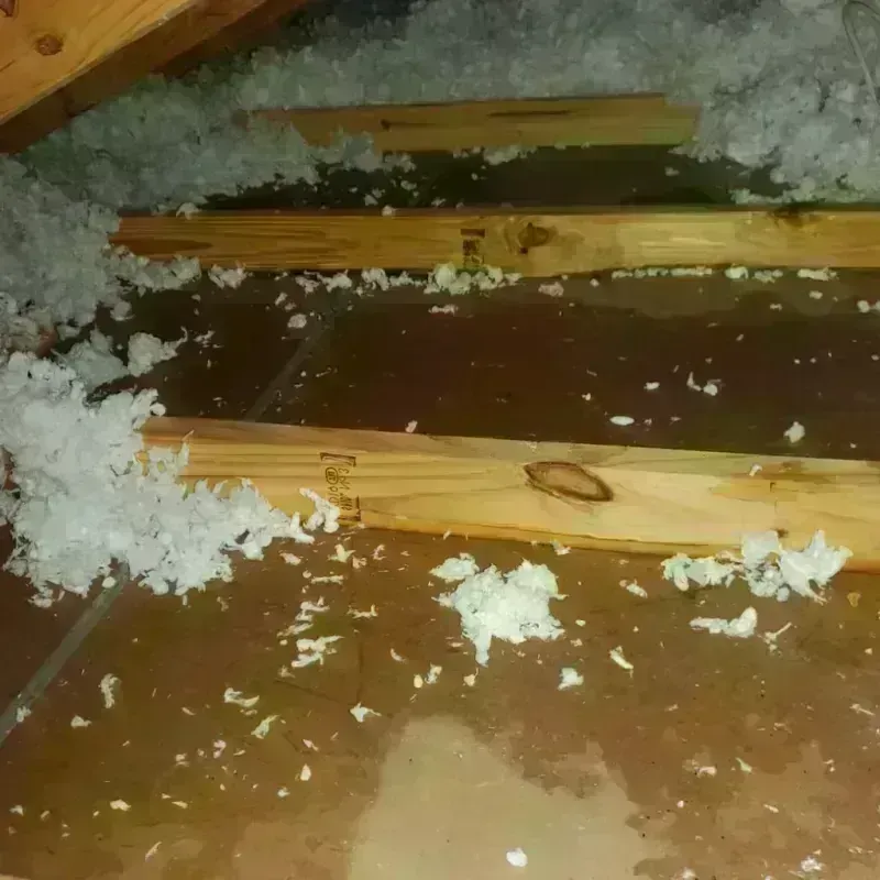 Attic Water Damage in Florence, AL