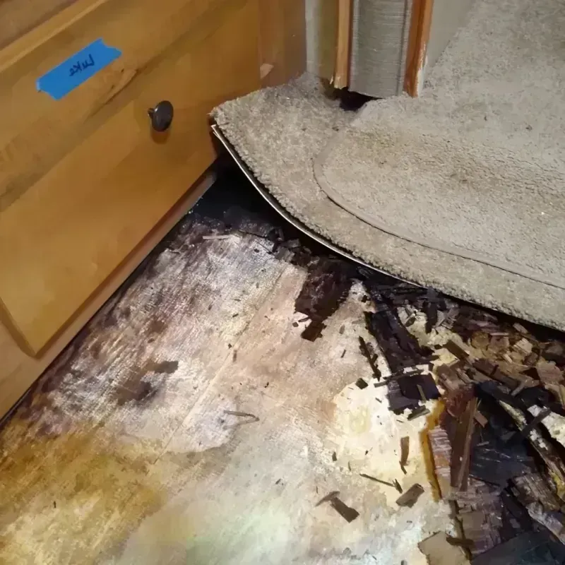 Wood Floor Water Damage in Florence, AL